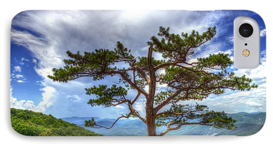 Ravens Roost iPhone 7 Case featuring the photograph Ravens Roost Tree by Greg Reed