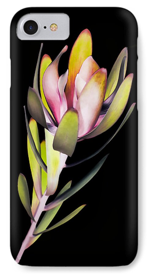 Flower iPhone 7 Case featuring the photograph Reach by John Hansen