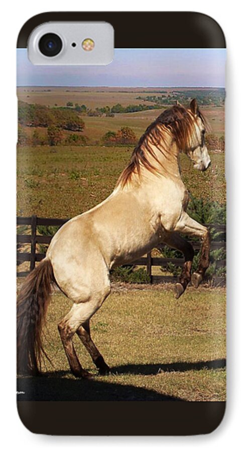 Horse iPhone 7 Case featuring the photograph Wild At Heart by Barbie Batson