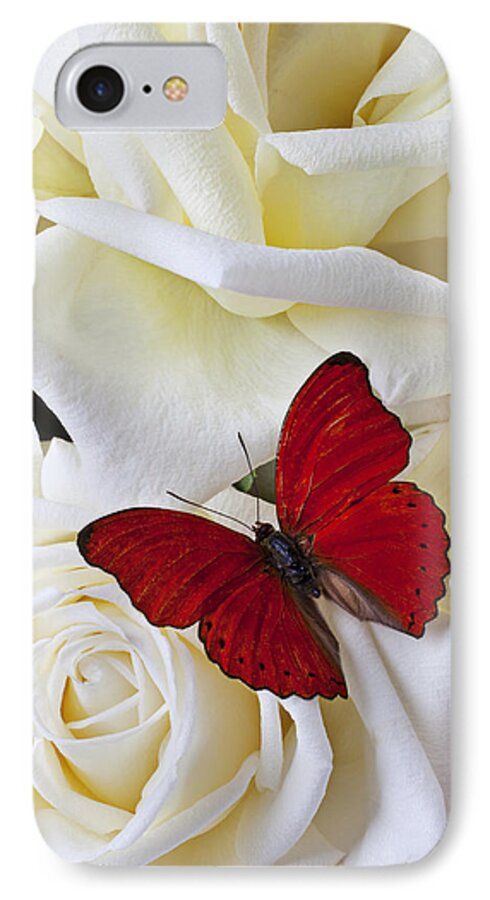 Red iPhone 7 Case featuring the photograph Red butterfly on white roses by Garry Gay