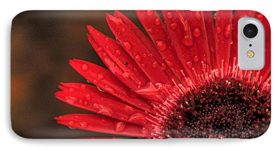 Flower iPhone 7 Case featuring the photograph Red Flower 2 of 2 by Jonathan Harper