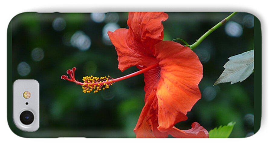 Flower iPhone 7 Case featuring the photograph Red Hibiscus by Valerie Ornstein