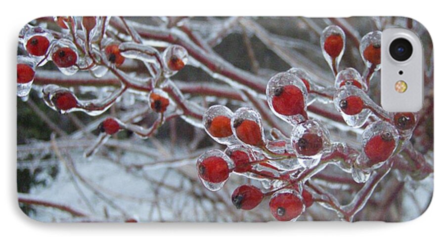 Berries Red Ice Storm iPhone 7 Case featuring the photograph Red Ice Berries by Kristine Nora