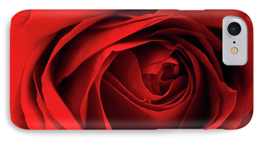 Red iPhone 7 Case featuring the photograph Red Rose Flower by Charline Xia