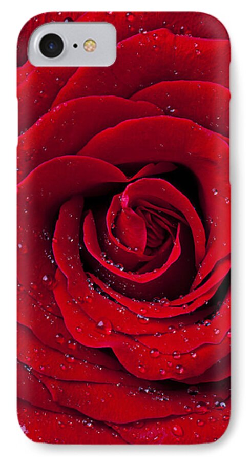 Red iPhone 7 Case featuring the photograph Red Rose With Dew by Garry Gay