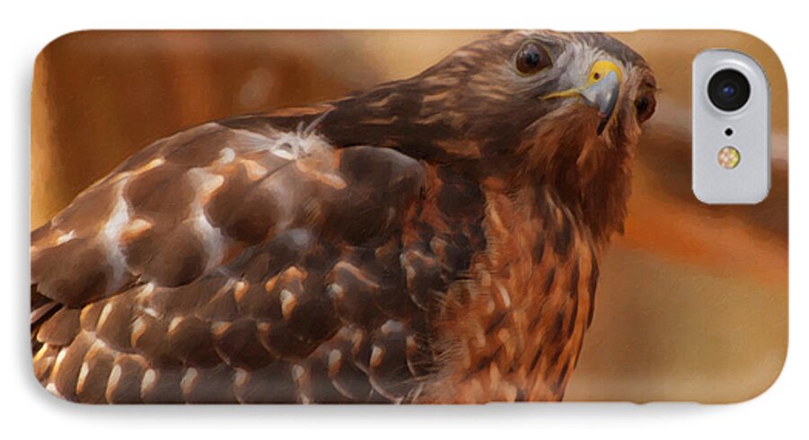 Red Shouldered Hawk iPhone 7 Case featuring the digital art Red Shouldered Hawk 1 by Flees Photos
