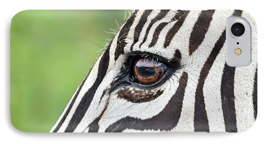 Zebra iPhone 7 Case featuring the photograph Reflection in a zebra eye by Gaelyn Olmsted