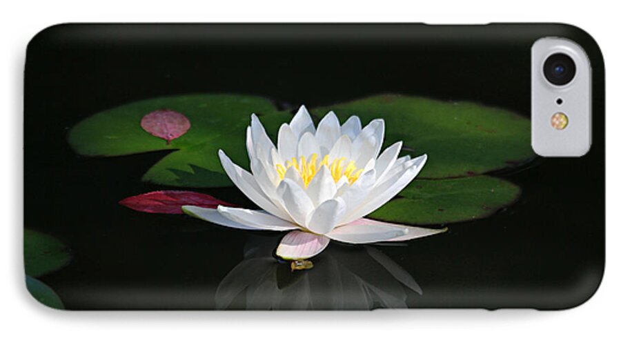 Lily iPhone 7 Case featuring the photograph Reflections of a Water Lily by Trina Ansel