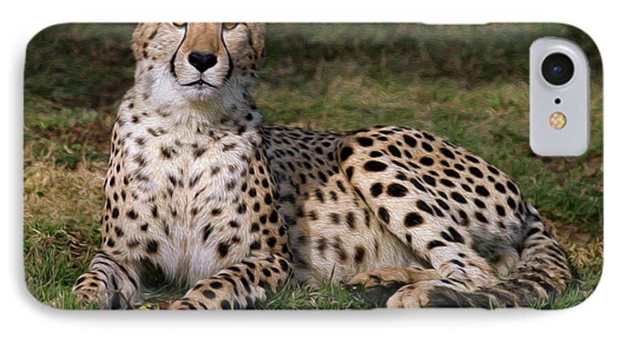 Cheetah iPhone 7 Case featuring the photograph Regal Pose by Art Cole