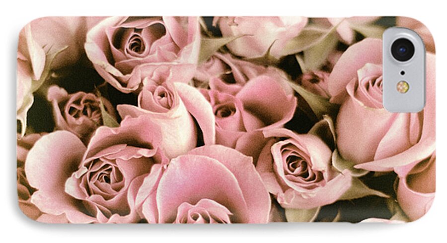 Roses iPhone 7 Case featuring the photograph Reticent Rose by Jessica Jenney