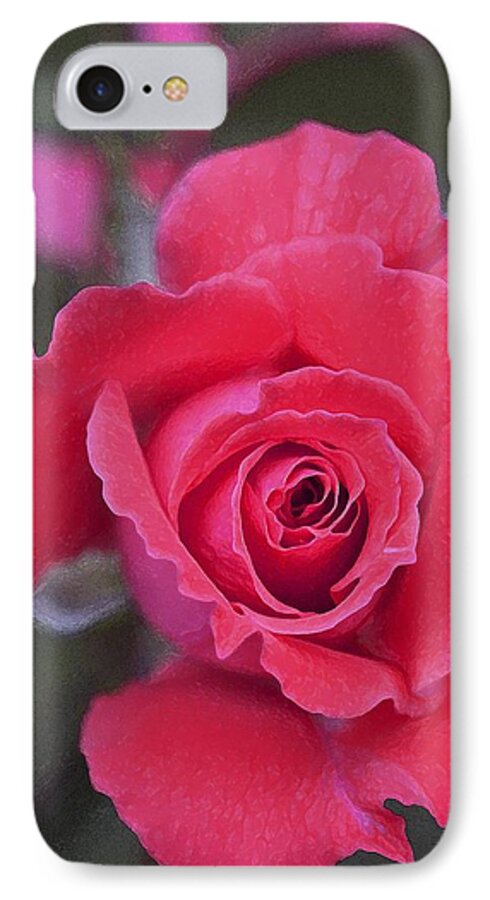 Floral iPhone 7 Case featuring the photograph Rose 160 by Pamela Cooper