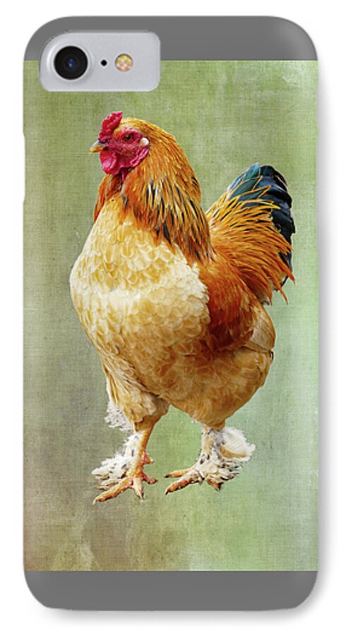Digital Art iPhone 7 Case featuring the digital art Otis T Rooster by Elijah Knight