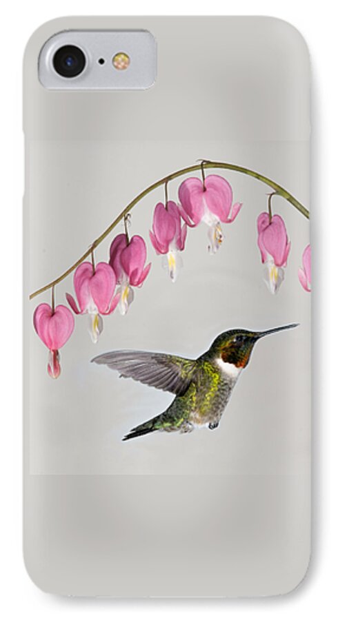 Archilochus Colubris iPhone 7 Case featuring the photograph Ruby-Throated Hummingbird With Bleeding Hearts by Lara Ellis