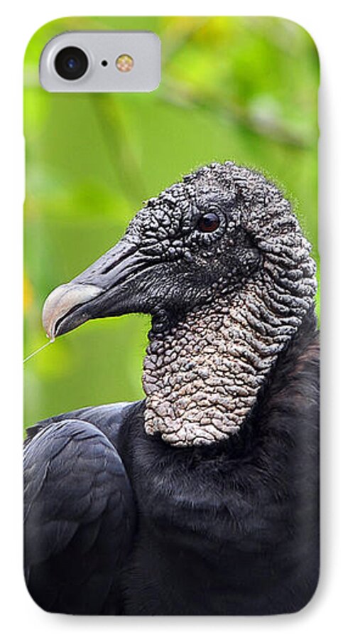 Black Vulture iPhone 7 Case featuring the photograph Scavenger Spittle by Al Powell Photography USA
