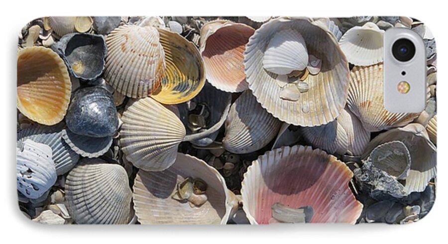 Shell iPhone 7 Case featuring the photograph Sea Shell Mozaic by Ellen Meakin