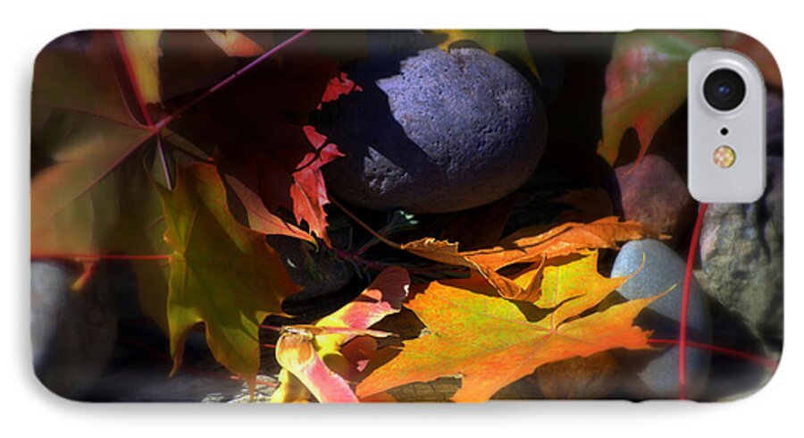 Leaves iPhone 7 Case featuring the photograph Seed by Larry Keahey