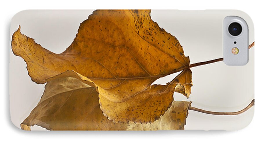 Poplar Leaf iPhone 7 Case featuring the photograph Seeing Double Autumn Leaf by Sandra Foster
