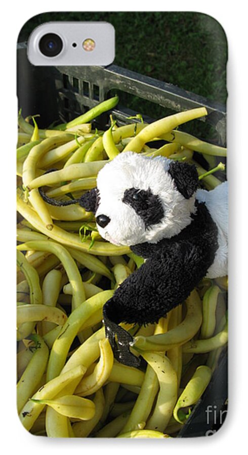 Baby Panda iPhone 7 Case featuring the photograph Selling beans by Ausra Huntington nee Paulauskaite