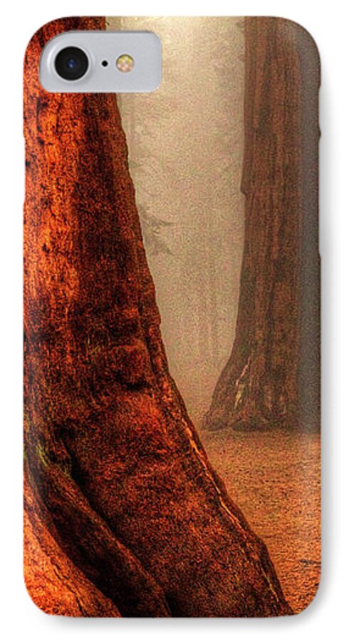 California iPhone 7 Case featuring the photograph Sequoias touching the Clouds by Roger Passman