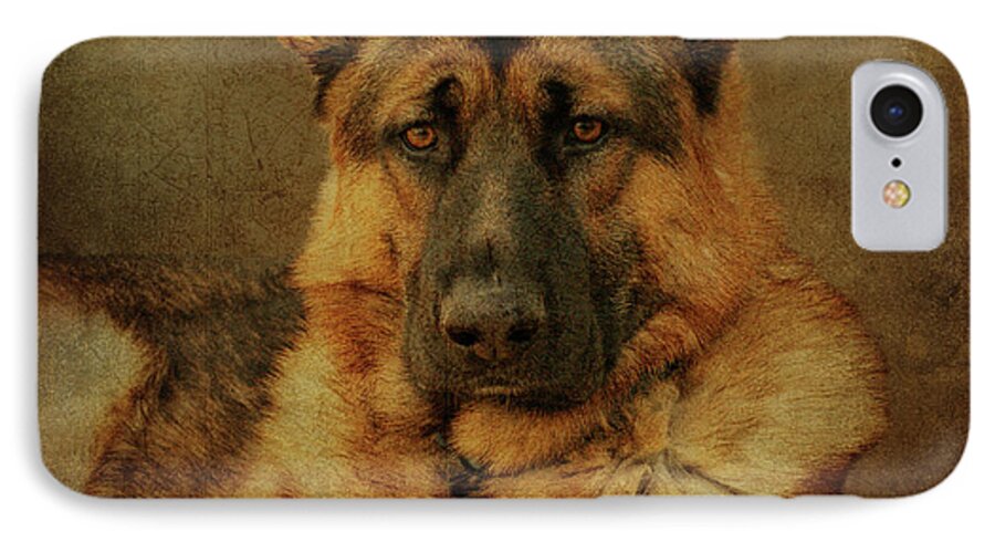 German Shepherd Dog iPhone 7 Case featuring the photograph Serious by Sandy Keeton