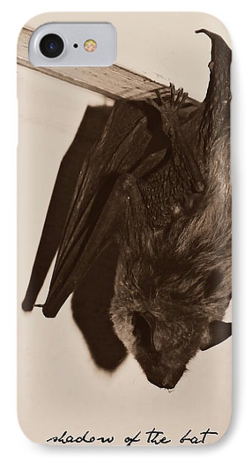 Shadow Of The Bat iPhone 7 Case featuring the photograph Shadow of the Bat by Dark Whimsy