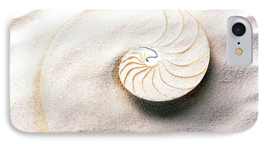 Photography iPhone 7 Case featuring the photograph Shell Spiraling Into Wavy Sand Pattern by Panoramic Images