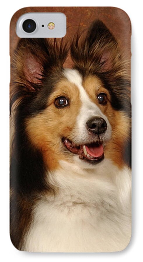 Dog iPhone 7 Case featuring the photograph Sheltie by Greg and Chrystal Mimbs