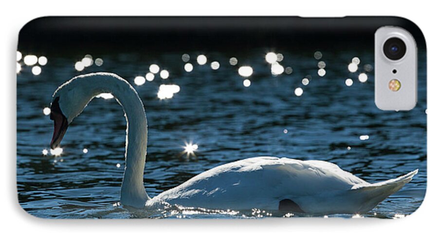 Shining Swan iPhone 7 Case featuring the photograph Shining Swan by Michelle Constantine