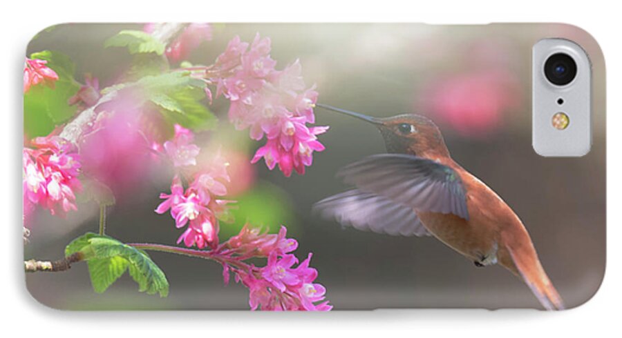 Rufous Hummingbird iPhone 7 Case featuring the photograph Sign Of Spring 2 by Randy Hall