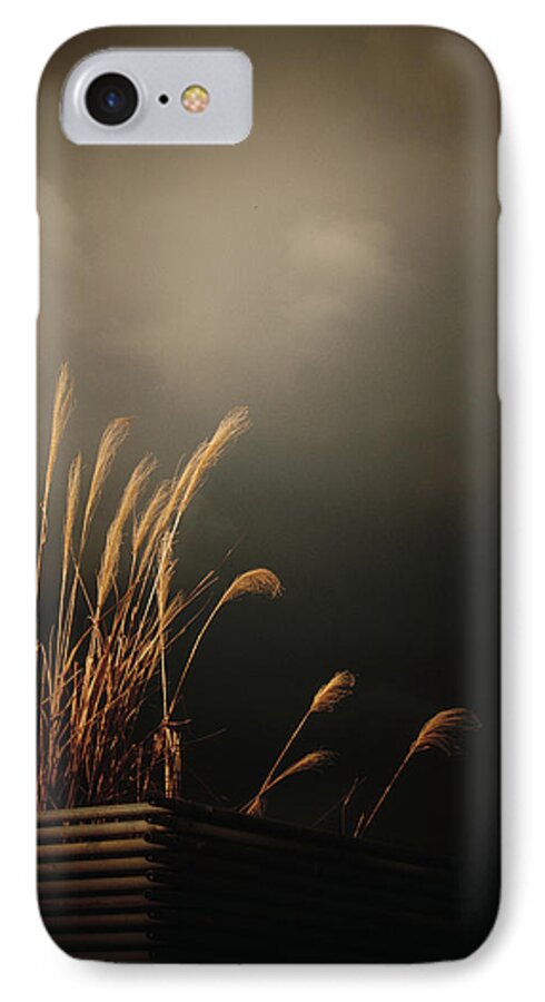 Silver Grass iPhone 7 Case featuring the photograph Silver Grass by Yuka Kato