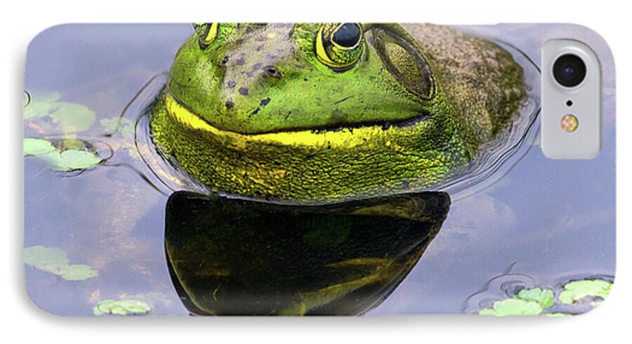 Bull Frog iPhone 7 Case featuring the photograph Sir Bull Frog by Art Cole