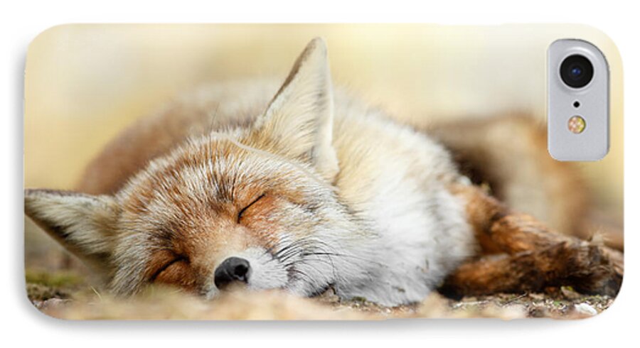 Red Fox iPhone 7 Case featuring the photograph Sleeping Beauty -Red fox in rest by Roeselien Raimond