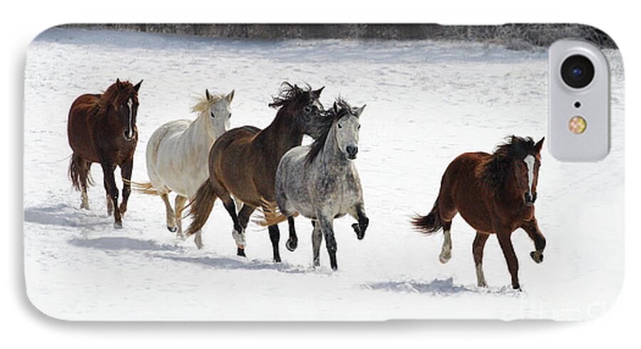 Andalusian iPhone 7 Case featuring the photograph Snow Gallop by Art Cole
