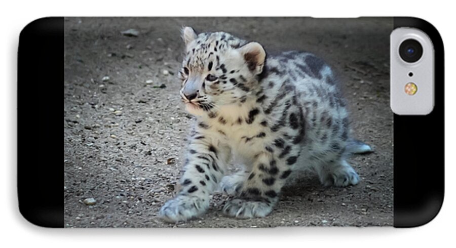 Terry D Photography iPhone 7 Case featuring the photograph Snow Leopard Cub by Terry DeLuco