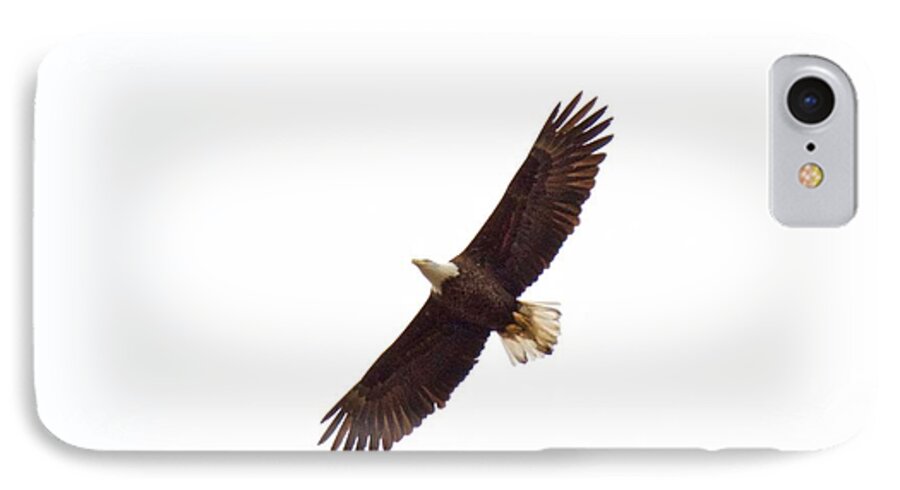 Eagle iPhone 7 Case featuring the photograph Soaring High 0885 by Michael Peychich