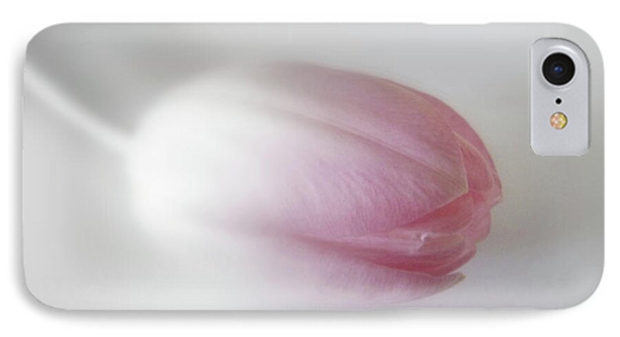 Tulip iPhone 7 Case featuring the photograph Soft Focus Tulip by Lynn Bolt
