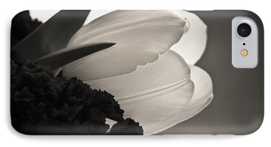 Floral iPhone 7 Case featuring the photograph Lit Tulip by Marilyn Hunt