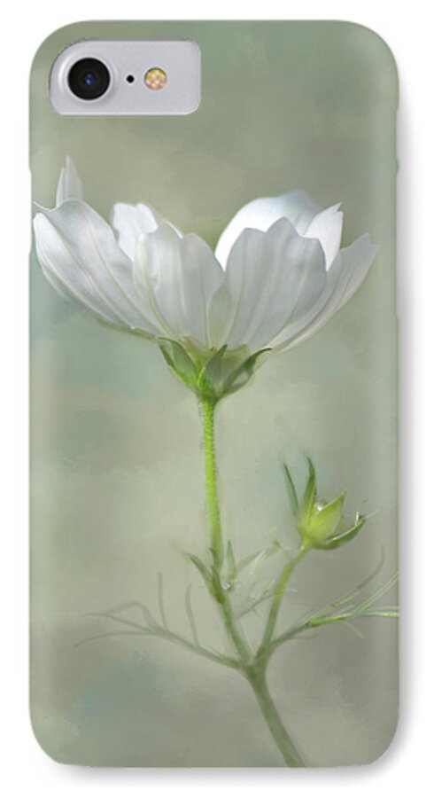  Cosmos iPhone 7 Case featuring the photograph Solo Cosmo by Ann Bridges