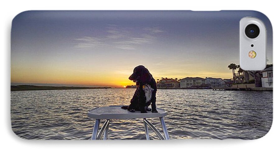 Spaniel iPhone 7 Case featuring the photograph Spaniel at Sunset by Kristina Deane