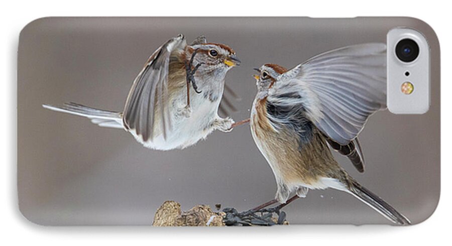  Tree iPhone 7 Case featuring the photograph Sparrows Fight by Mircea Costina Photography