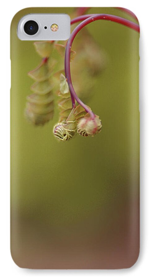 Spring iPhone 7 Case featuring the photograph Spring Coming 2017 by Jeff Burgess