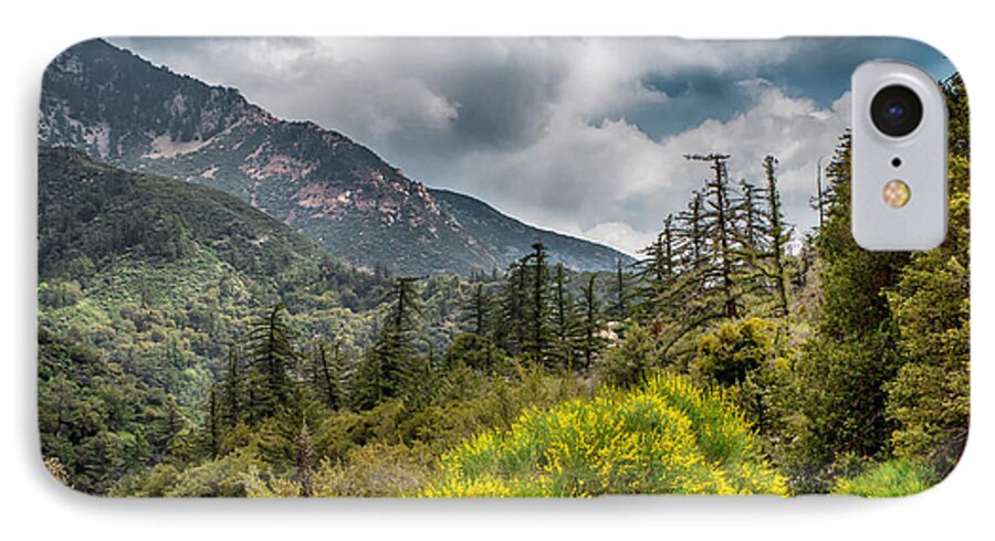 Forest iPhone 7 Case featuring the photograph Spring in the Forest by Joseph Hollingsworth