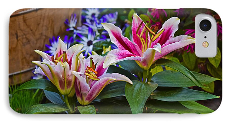 Oriental Lilies iPhone 7 Case featuring the photograph Spring Show 15 Lily Trio by Janis Senungetuk