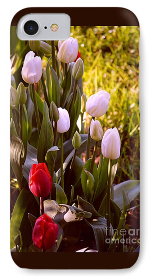 Spring Time iPhone 7 Case featuring the photograph Spring Time Tulips by Susanne Van Hulst