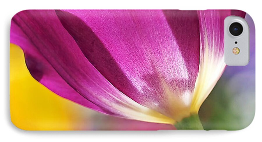 Flower iPhone 7 Case featuring the photograph Spring Tulip by Rona Black