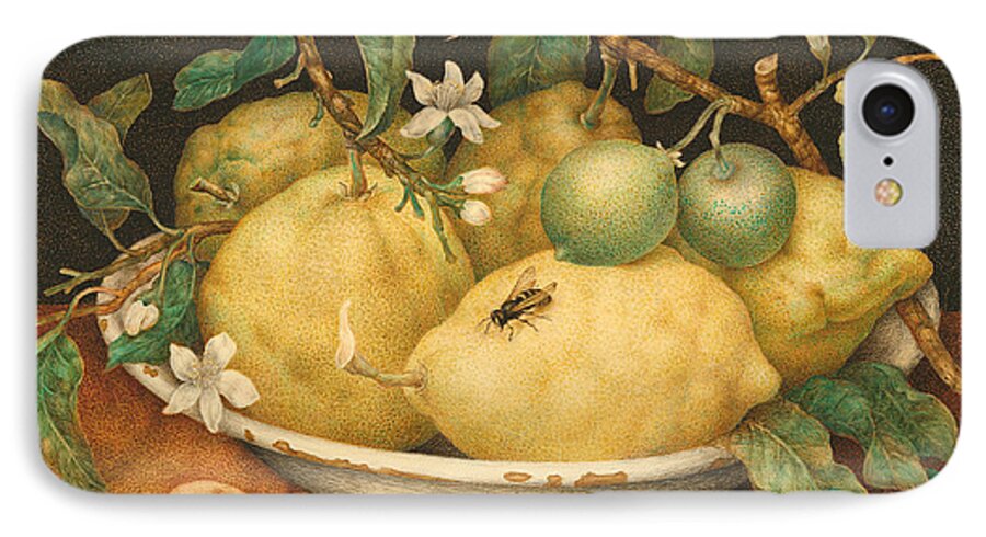 Lemons iPhone 7 Case featuring the painting Still Life with a Bowl of Citrons by Giovanna Garzoni