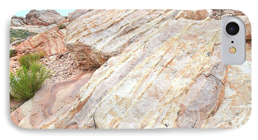 Valley Of Fire State Park iPhone 7 Case featuring the photograph Stone Feet in Valley of Fire by Ray Mathis