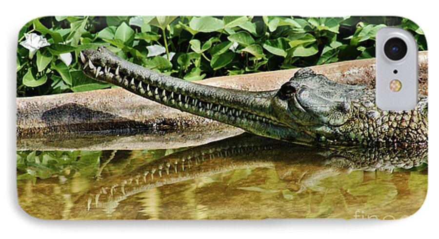 False Gharial Crocodile iPhone 7 Case featuring the photograph Stop to Smell the Flowers by Craig Wood