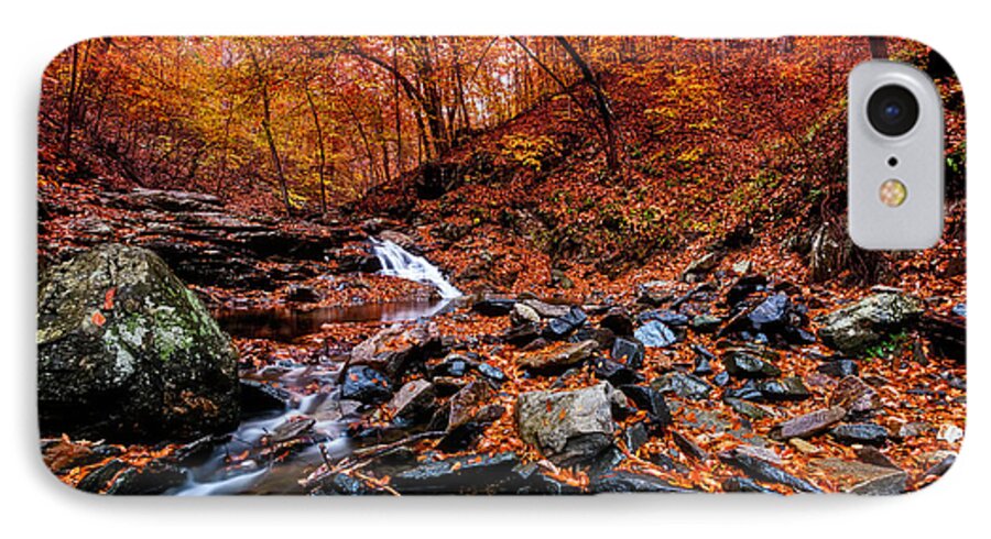 Patapsco State Park iPhone 7 Case featuring the photograph Stress Relief by Edward Kreis