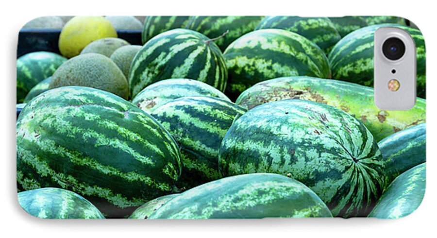 Cantaloupe iPhone 7 Case featuring the photograph Summer Melons by Teri Virbickis